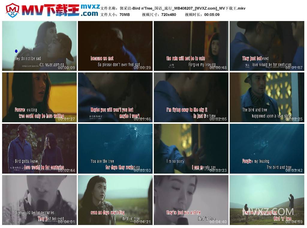 郭采洁-Bird n'Tree_国语_流行_MB408207